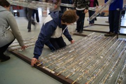 Pupils lay the foundations