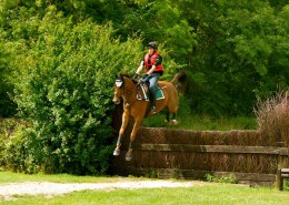Dan Bladon Horse jumping
