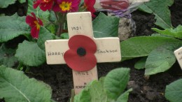 Red poppy on a cross