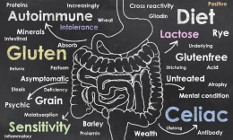 Intestines and Words of Celiac Condition Sketched on a Blacboard