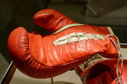Boxing Gloves. Photo: Peter Miller