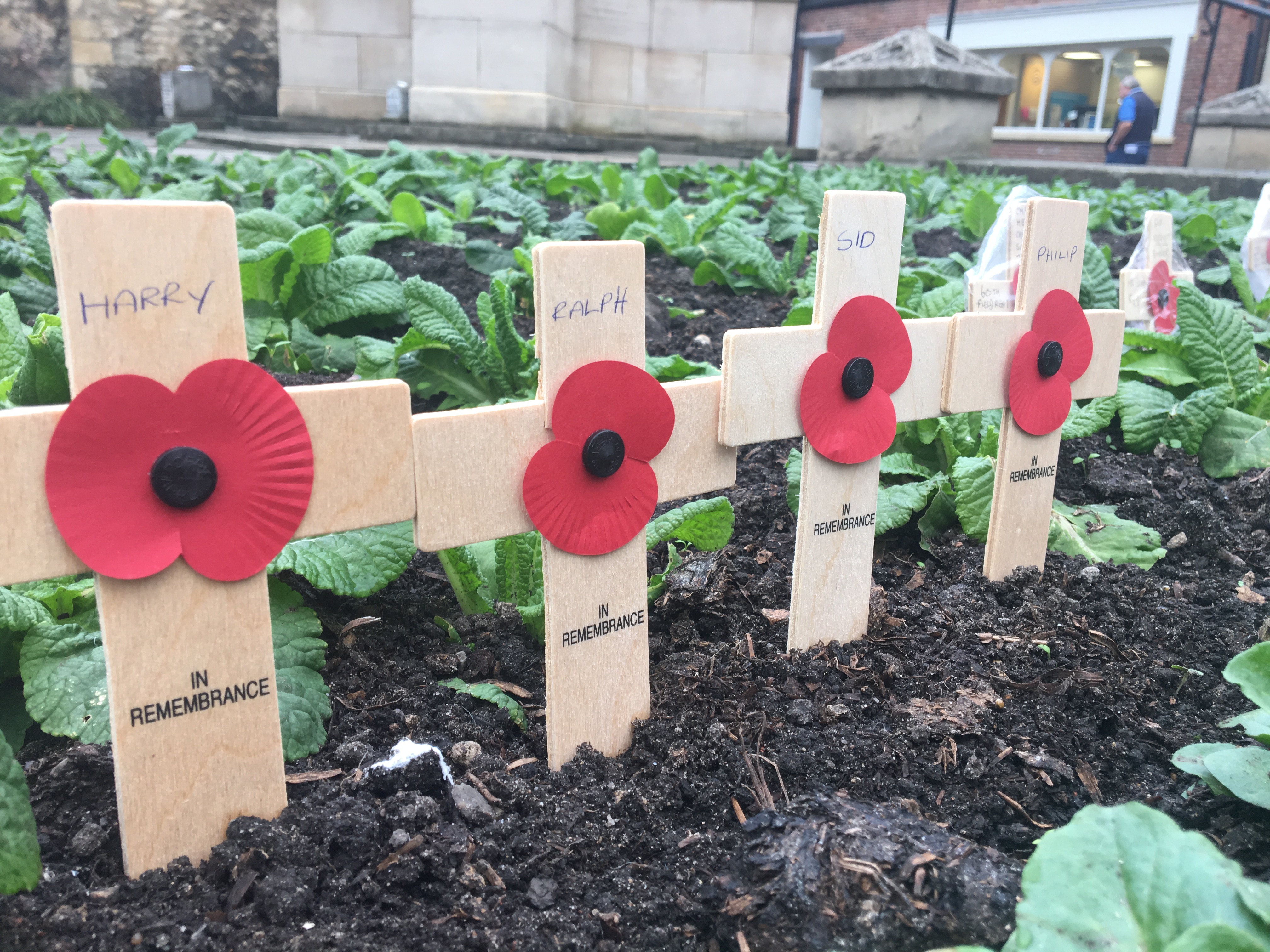 Poppies made for remembrance day