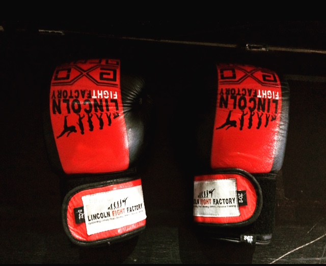 The official boxing gloves of Lincoln Fight Factory