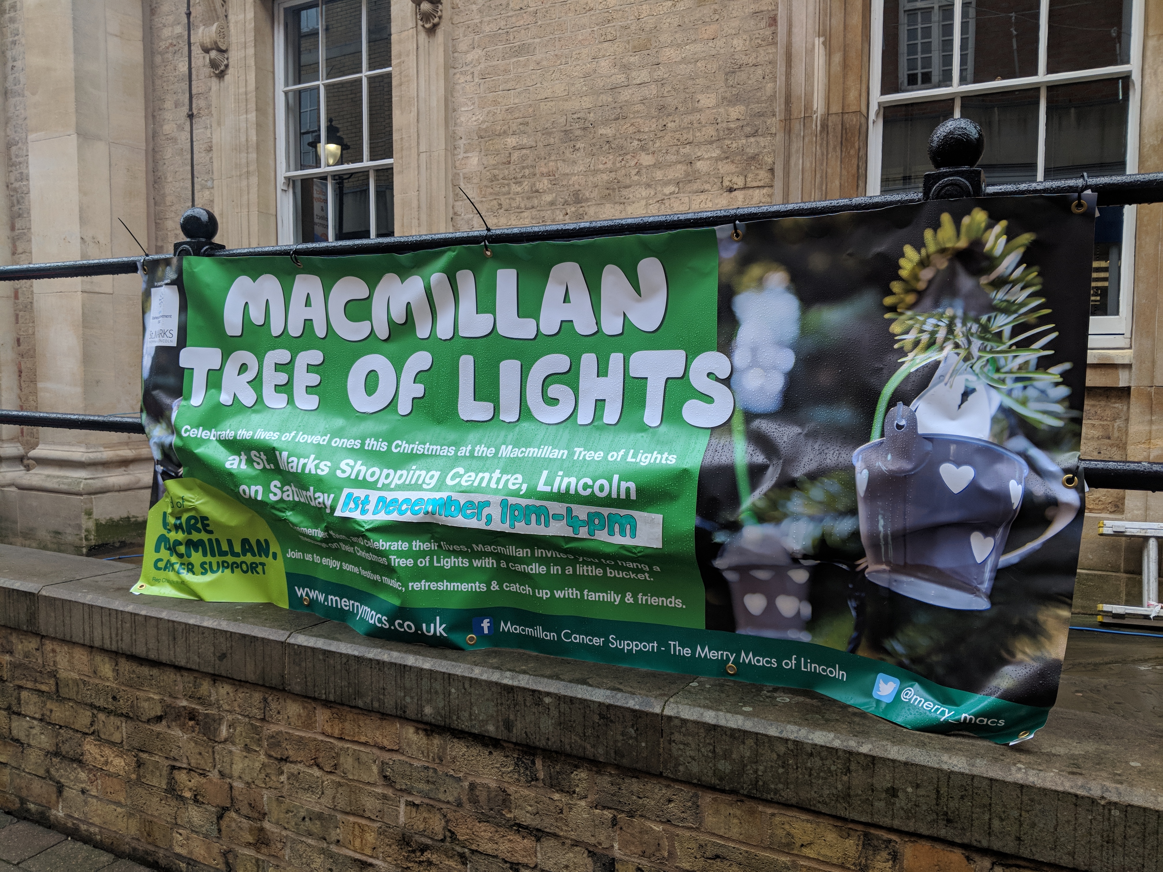 The Macmillan tree of light event. Photo: Alexandra Keene