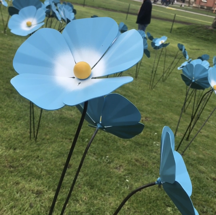 Handmade Forget Me Not on display at Lincoln Castle.