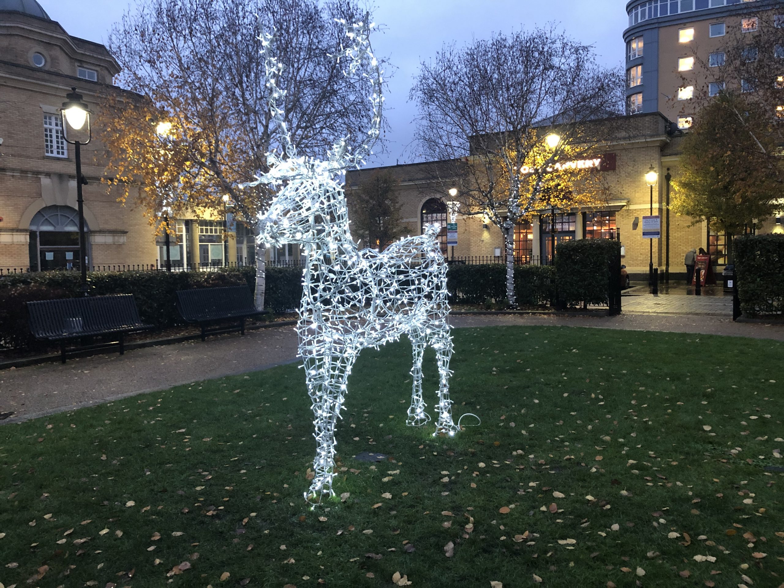 Christmas light reindeer