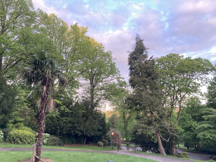 Lincoln Arboretum on a summer evening 2021. Photo: Yasmina Abou-Hilal