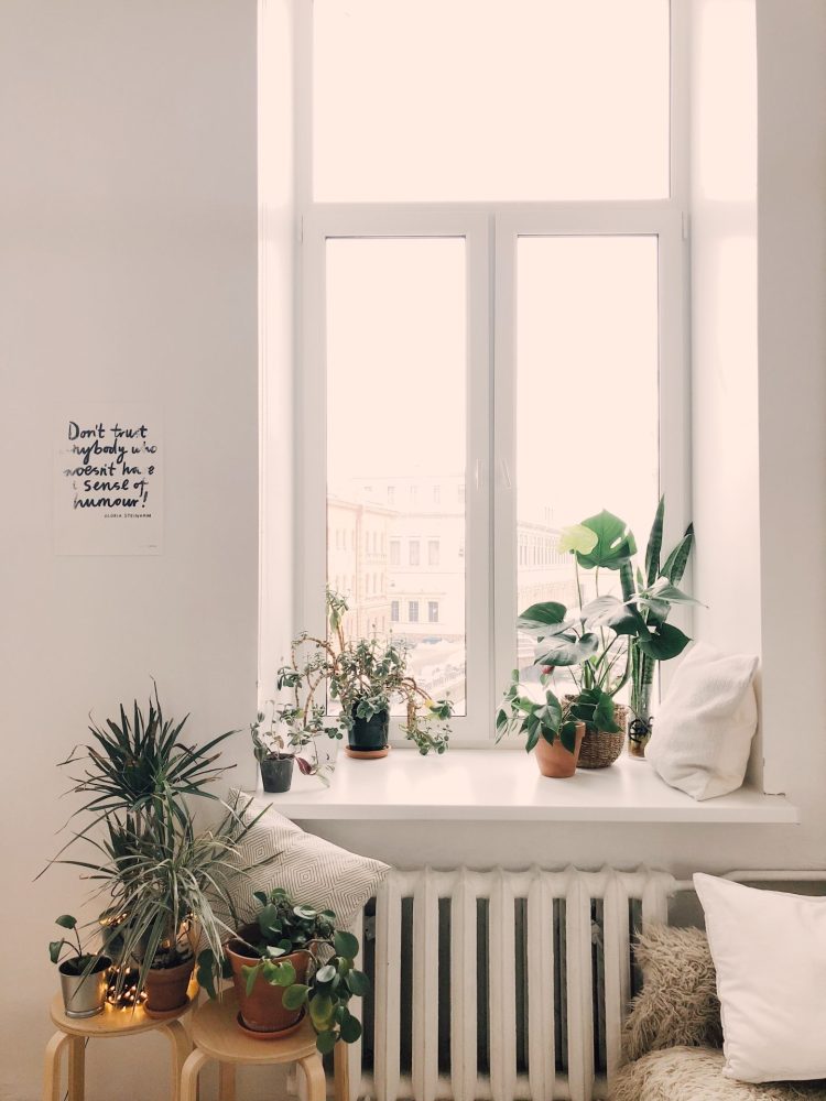 Plants within the home creating a calming atmosphere. Image credit: Pexels free photos by Daria Shevtsova